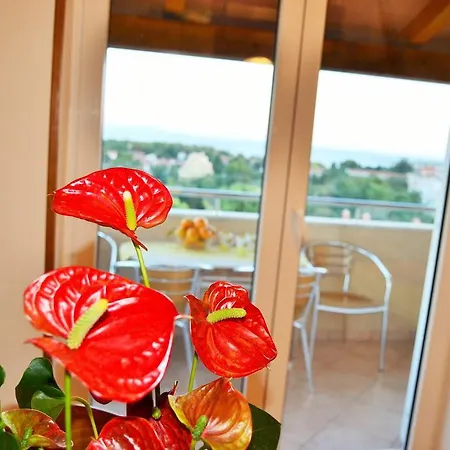 Apartment Tanja